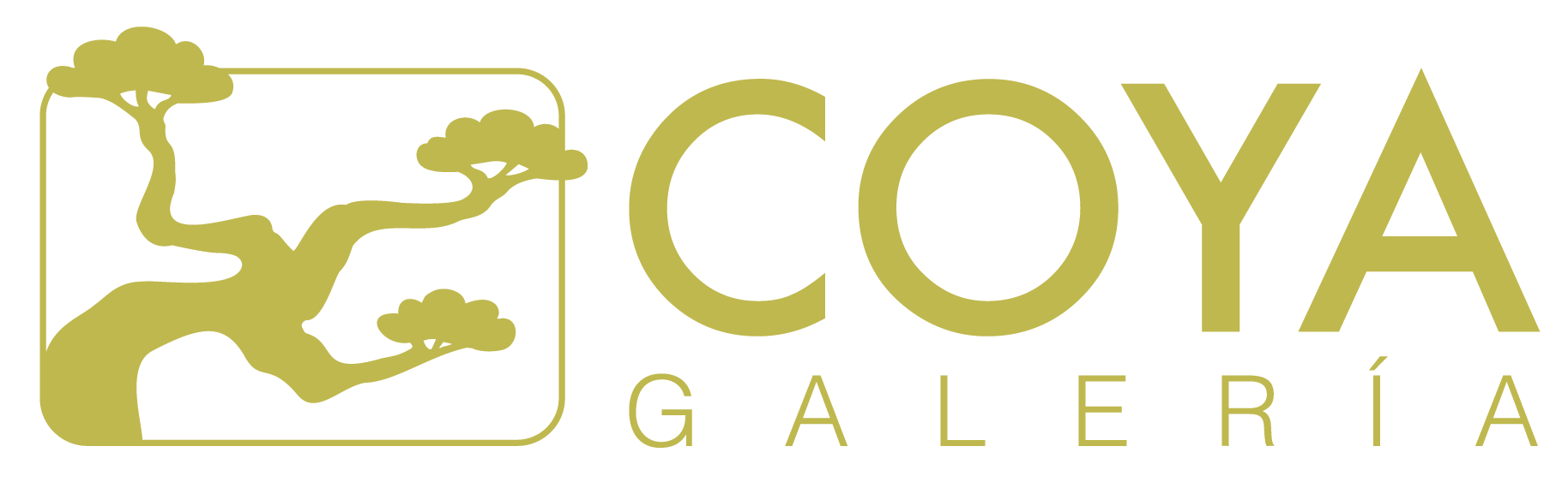 Galeria Coya